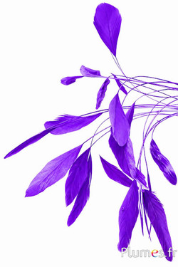 Coquetips cincillà sbiancati - 13-18 cm - viola